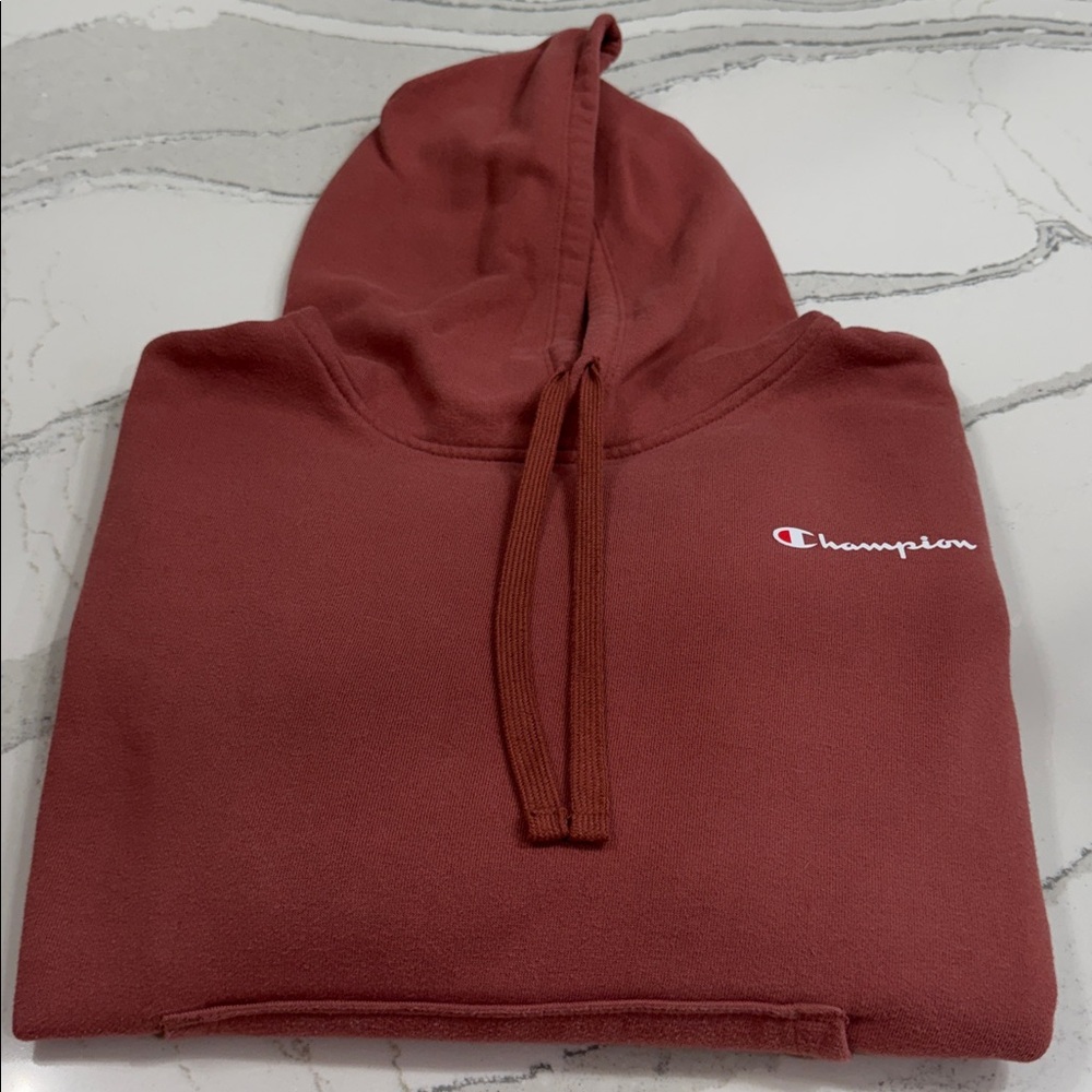 Champion Mauve Hoodie Large Unisex